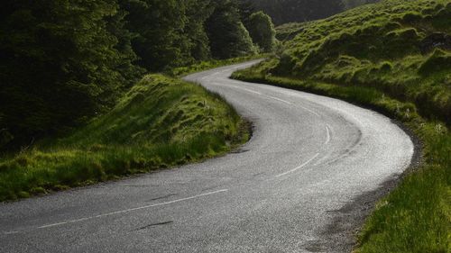 Road amidst trees in forest