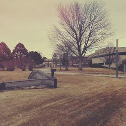 Bare trees on grassy field