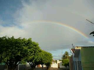 Rainbow over trees