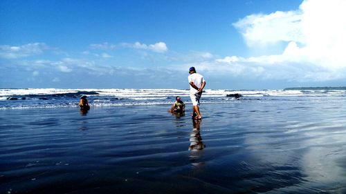 Rear view of man looking at people cleaning beach against sky