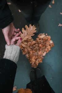 Low section of couple holding hands over autumn leaves arranged in heart shape