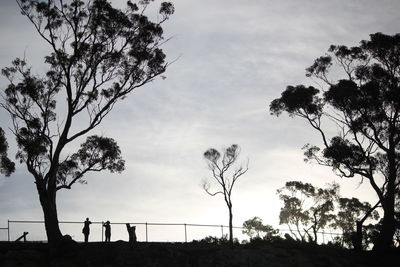 Low angle view of silhouette trees on field against sky