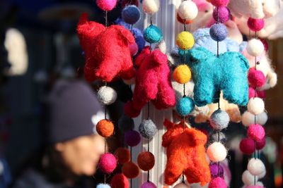 Close-up of multi colored flowers