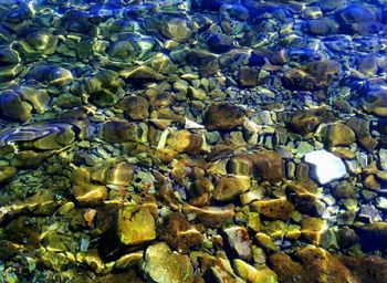 Rocks in water