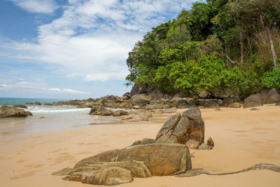 Scenic view of beach against sky