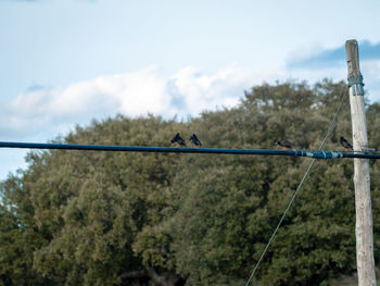 View of hanging from rope against sky