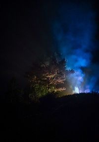 Low angle view of silhouette trees against sky at night