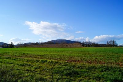 Scenic view of landscape against cloudy sky