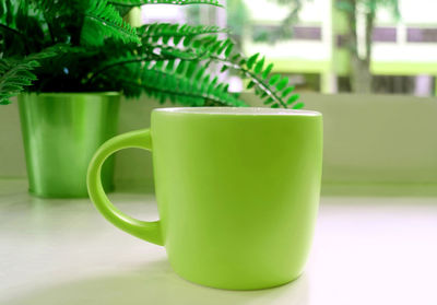 Green tone colored pop art style coffee mug on the table with a potted fern in background