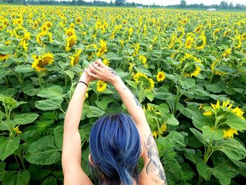 Midsection of woman with yellow flowers in field