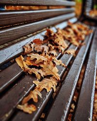 Close-up of rusty wood