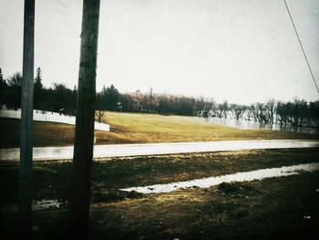 Trees on field against clear sky