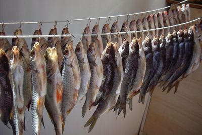 Panoramic view of fish for sale