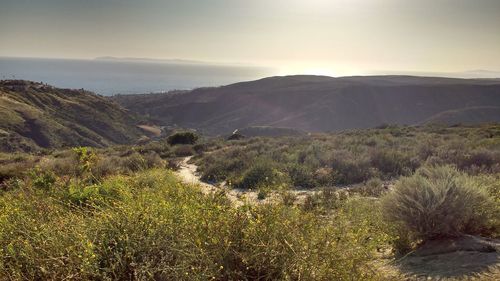 Scenic view of landscape