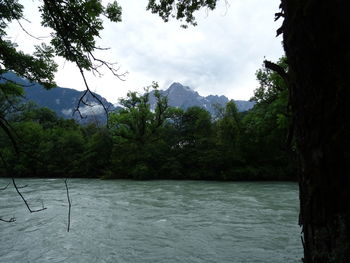 Scenic view of river by trees against sky