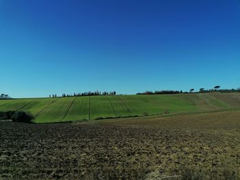 Scenic view of agricultural field against clear blue sky