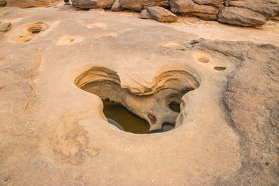 High angle view of animal sculpture on rock