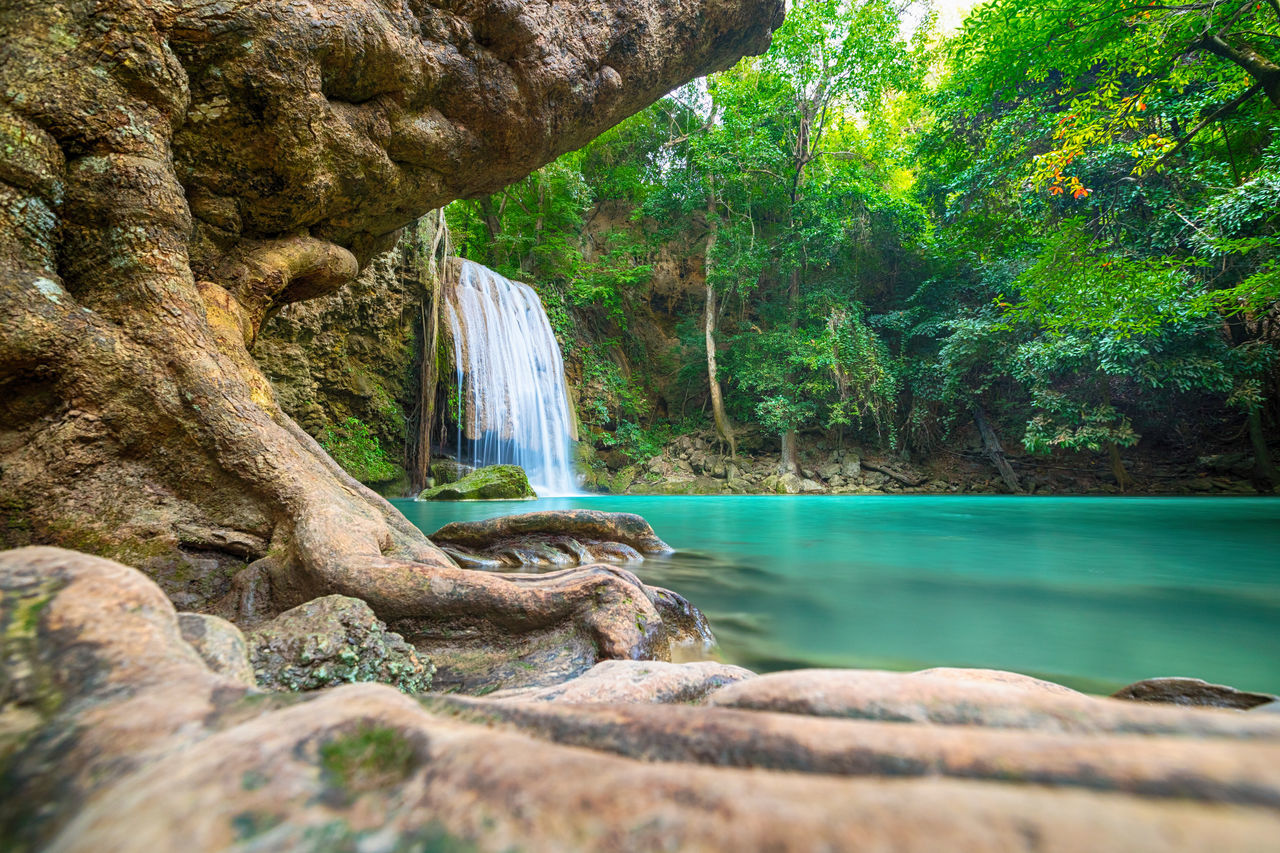 ROCK FORMATIONS IN FOREST