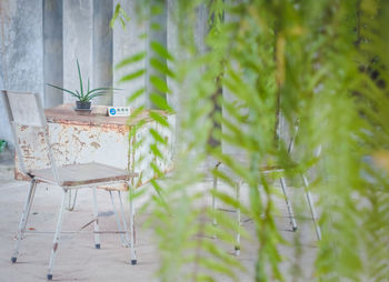 Close-up of empty chairs and table against plants
