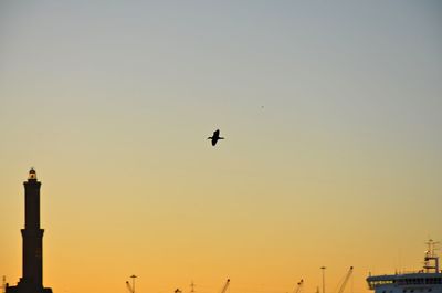 Low angle view of silhouette bird flying against sky during sunset