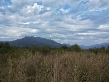 Scenic view of landscape against sky