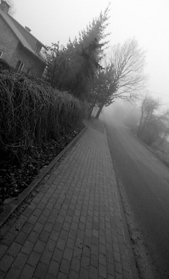 the way forward, diminishing perspective, vanishing point, tree, transportation, sky, road, street, clear sky, built structure, day, outdoors, empty road, long, building exterior, architecture, growth, footpath, no people, empty