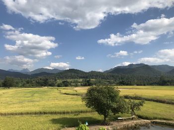 Scenic view of field against sky