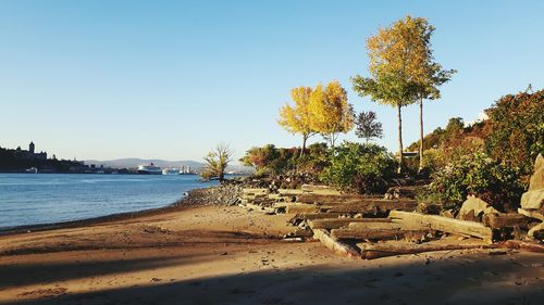 View of calm beach against clear blue sky