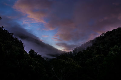 Low angle view of silhouette trees against sky at sunset