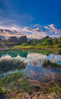 Scenic view of lake by trees against sky