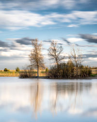 A long exposure of sunlit trees reflecting in a pond.