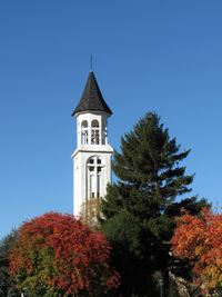 Low angle view of trees and building against sky