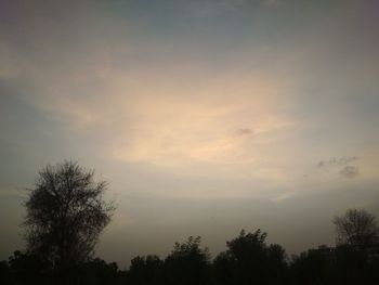 Low angle view of silhouette trees against sky during sunset