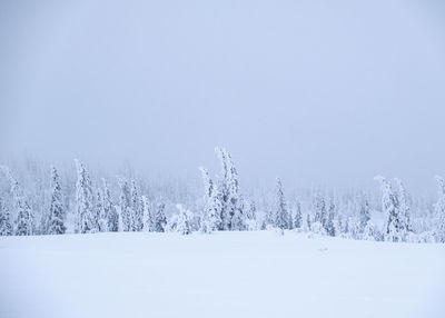Snow covered land and trees against sky