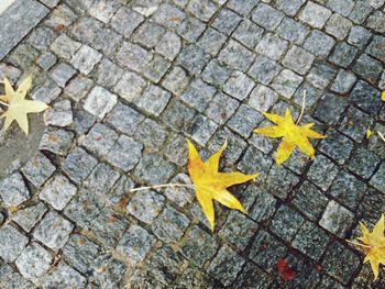 High angle view of autumn leaf on footpath