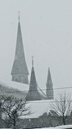 Low angle view of snow covered trees during winter