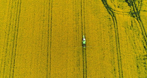 Full frame shot of agricultural field