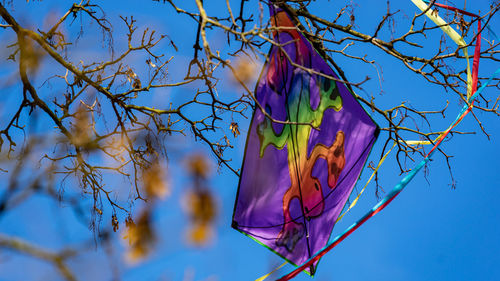 Low angle view of kite in tree against blue sky