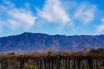 Scenic view of mountains against blue sky