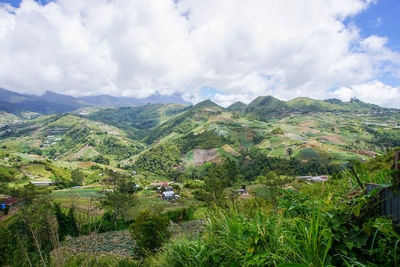 Scenic view of green landscape against sky