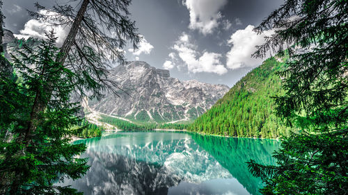 Scenic view of lake pragser wildsee by trees against sky