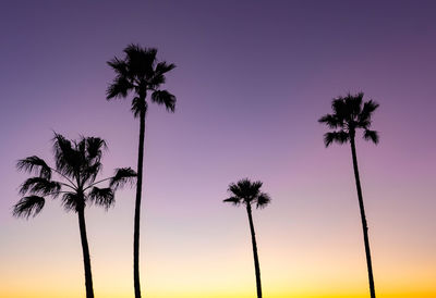 Low angle view of silhouette palm trees against romantic sky