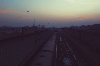 View of birds flying over the sky