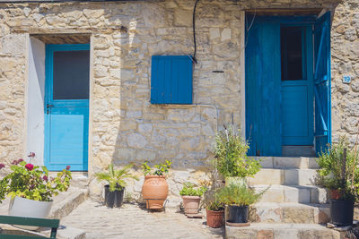 Plants growing outside house