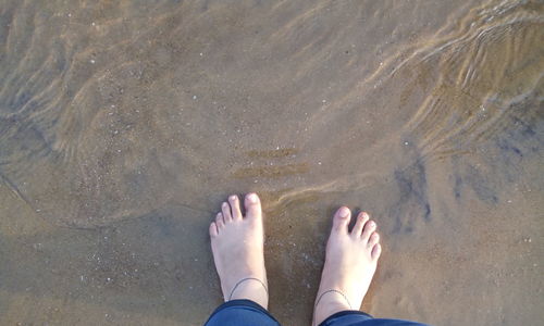 Low section of woman standing on wet beach