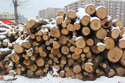 Stack of logs