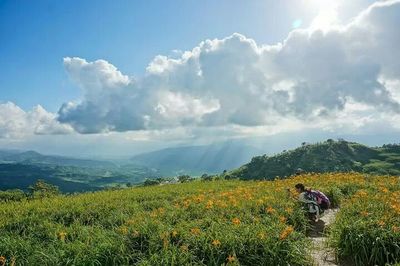 Scenic view of landscape against cloudy sky