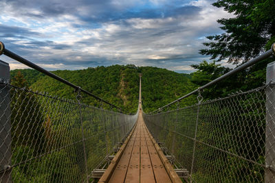 Footbridge amidst trees and plants against sky