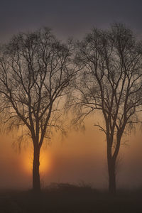 Silhouette bare tree on field against sky during sunset