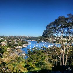 Scenic view of calm sea against clear blue sky